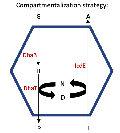 Compartmentalization Strategy